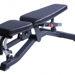 Adjustable Bench 