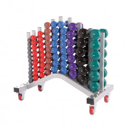 Vinyl dumbbell rack | Exclusief dumbbells