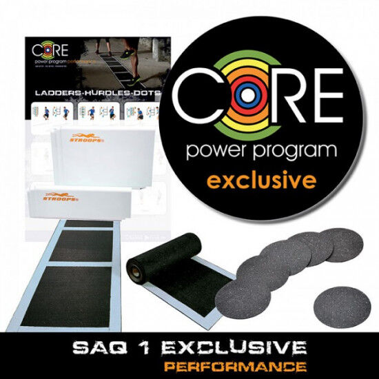 Roll out ladder Roll out ladder