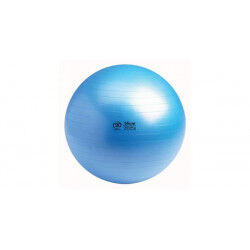 Swiss Ball 300 kg, 55 cm zonder pomp en DVD