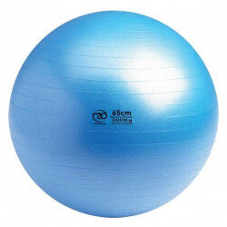 Swiss Ball 300 kg, 65 cm met pomp en online workout