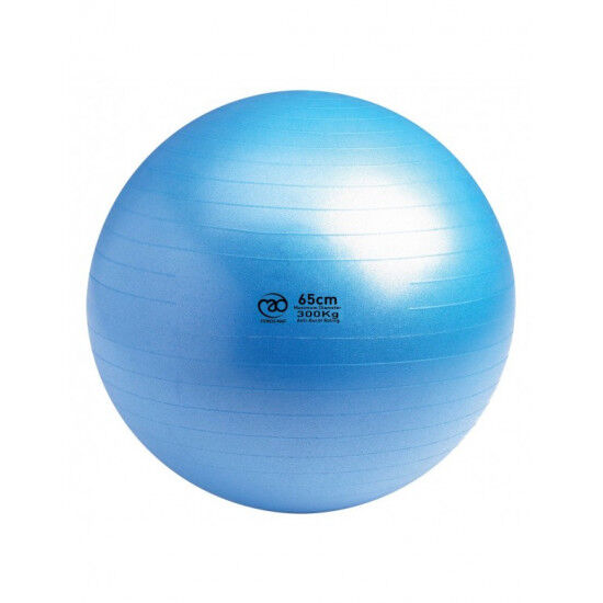 Swiss Ball 300 kg, 65 cm met pomp en online workout