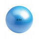 Swiss Ball 300 kg, 65 cm met pomp en online workout
