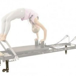 Leg Extensions Voor H1 Reformers (22-39 cm)