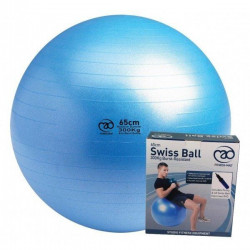 Swiss Ball 300 kg, 65 cm met pomp en online workout