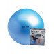 Swiss Ball 300 kg, 65 cm met pomp en online workout