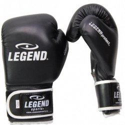Legend PowerFit and Protect Bokshandschoenen 