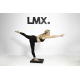 https://cdn.webshopapp.com/shops/73945/files/474353981/file.png