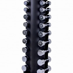 Dumbbelltower with chrome dumbbellset 1-10kg