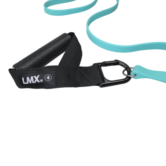https://cdn.webshopapp.com/shops/73945/files/475016711/file.png