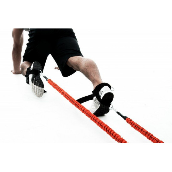 All Leg Speed Builder