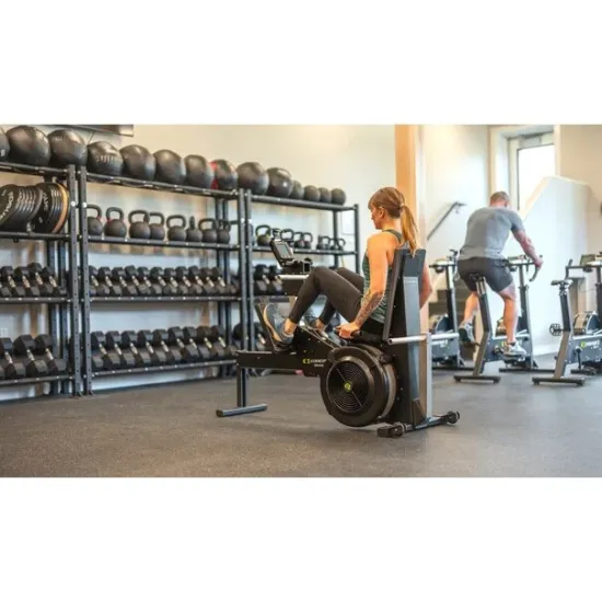 Concept2 StrengthErg with PM5 Concept2 StrengthErg with PM5