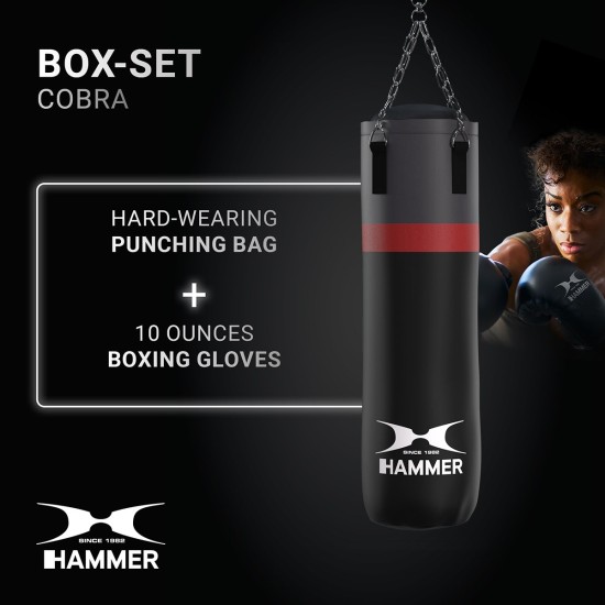 https://www.hammer.de/de-en/media/catalog/product/1/4/1472_hammer_box_set_cobra_1.jpg?optimize=medium&bg-color=255,255,255&fit=bounds&height=&width=