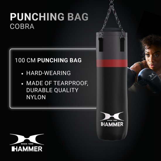 https://www.hammer.de/de-en/media/catalog/product/2/5/2512_hammer_boxing_cobra_weiss.jpg?optimize=medium&bg-color=255,255,255&fit=bounds&height=&width=