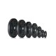 https://www.hammer.de/de-en/media/catalog/product/1/7/17040-17046_hantelscheibe_pu_gruppe_frontal_1.jpg?optimize=medium&bg-color=255,255,255&fit=bounds&height=&width= https://www.hammer.de/de-en/media/catalog/product/1/7/17040-17046_hantelscheibe_pu_gruppe_frontal_1.jpg?optimize=medium&bg-color=255,255,255&fit=bounds&height=&width=