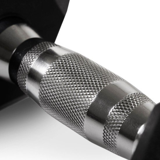 https://www.hammer.de/de-en/media/catalog/product/h/e/hexagon-hantelscheiben-a_-neu-en.jpg?optimize=medium&bg-color=255,255,255&fit=bounds&height=&width=