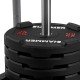 https://www.hammer.de/de-en/media/catalog/product/1/7/17901_bumper-plate-competition-model-01_2.jpg?optimize=medium&bg-color=255,255,255&fit=bounds&height=&width=