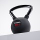 https://www.hammer.de/de-en/media/catalog/product/2/4/2408_hammer_kettlebell_gruppenbild-neu_1.jpg?optimize=medium&bg-color=255,255,255&fit=bounds&height=&width=