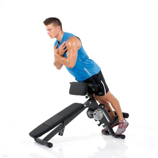 https://www.hammer.de/de-en/media/catalog/product/3/8/3869-finnlo-bauchtrainer-rueckentrainer-ab-and-backtrainer_01_2.jpg?optimize=medium&bg-color=255,255,255&fit=bounds&height=&width=