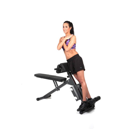 https://www.hammer.de/de-en/media/catalog/product/3/8/3869-finnlo-bauchtrainer-rueckentrainer-ab-and-backtrainer_01_2.jpg?optimize=medium&bg-color=255,255,255&fit=bounds&height=&width=