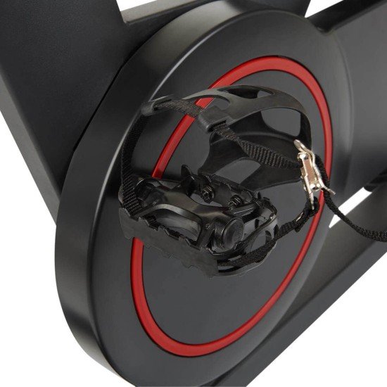 https://www.hammer.de/de-en/media/catalog/product/4/8/4864-speedbike-hammer-speed-racer-s-siegel-en.jpg?optimize=medium&bg-color=255,255,255&fit=bounds&height=&width=