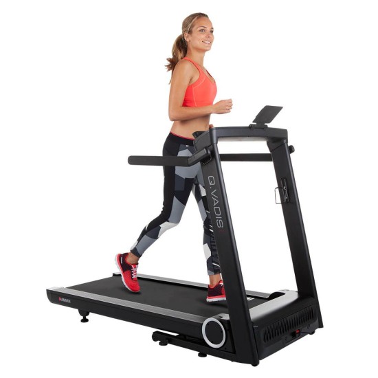 https://www.hammer.de/de-en/media/catalog/product/5/1/5162-laufband-hammer-qvadis7-geraet-01_2.jpg?optimize=medium&bg-color=255,255,255&fit=bounds&height=&width=