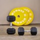 https://www.hammer.de/de-en/media/catalog/product/h/e/hexagon-hantelscheiben-a_-neu-en.jpg?optimize=medium&bg-color=255,255,255&fit=bounds&height=&width= https://www.hammer.de/de-en/media/catalog/product/h/e/hexagon-hantelscheiben-a_-neu-en.jpg?optimize=medium&bg-color=255,255,255&fit=bounds&height=&width=
