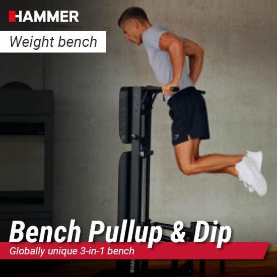 https://www.hammer.de/de-en/media/catalog/product/1/6/16000-bench-pullup-and-dip-geraet-11-hoehe.jpg?optimize=medium&bg-color=255,255,255&fit=bounds&height=&width=