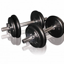 Toorx Dumbbellset 20 kg met Koffer