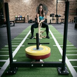 LMX1024 Crossmaxx® Prowler sled