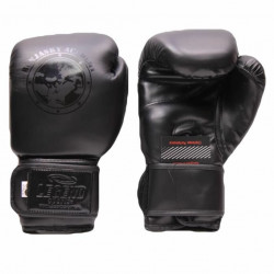 Bokshandschoenen Remy Bonjasky Legend Mat zwart - Maat: 10oz