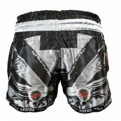 Kickboks broekje Spartan Legend Trendy - Maat: L Kickboks broekje Spartan Legend Trendy - Maat: L