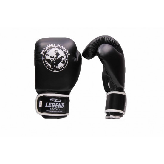 Bokshandschoenen Remy Bonjasky Legend zwart - Maat: 12oz