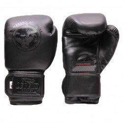 Bokshandschoenen Remy Bonjasky Legend Mat zwart - Maat: 12oz