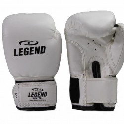 1-5 jaar Bokshandschoenen kind 2OZ Wit - Maat: 2oz