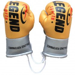 Legend Mini Bokshandschoenen - Goud/Geel