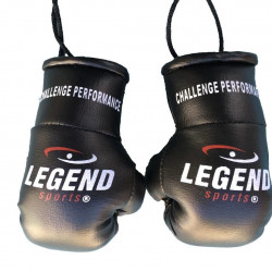 Legend Mini Bokshandschoenen - Goud/Geel