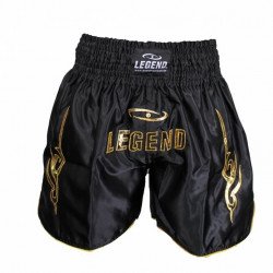 Kickboks broekje legend lang model goud - Maat: XXS